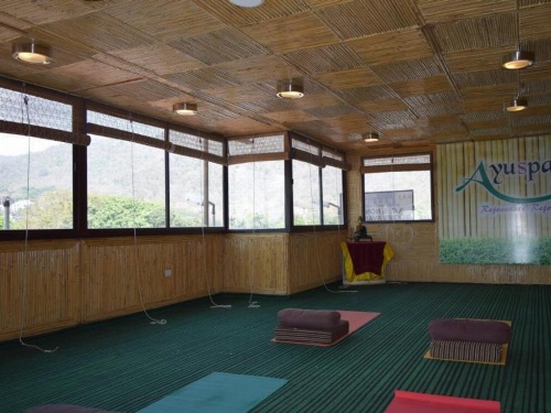 Hotel Raj Palace image 7